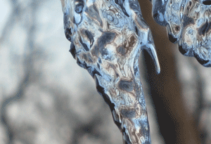 boost-opportunities.gif