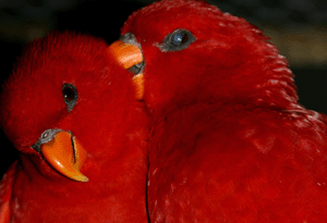 boost-relationships.gif