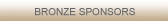Bronze Sponsor