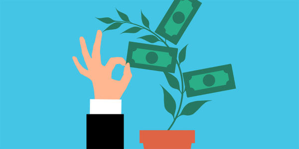 A plant growing out of a pot with dollar bills for leaves and a hand reaching towards the bills.